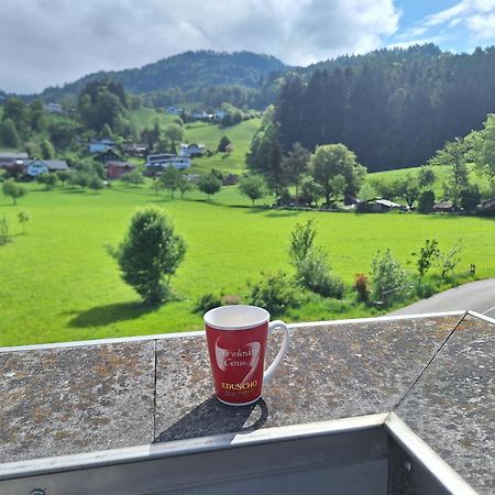 Wohnung Rheintal Im Alpenvorland Batschuns Exteriér fotografie