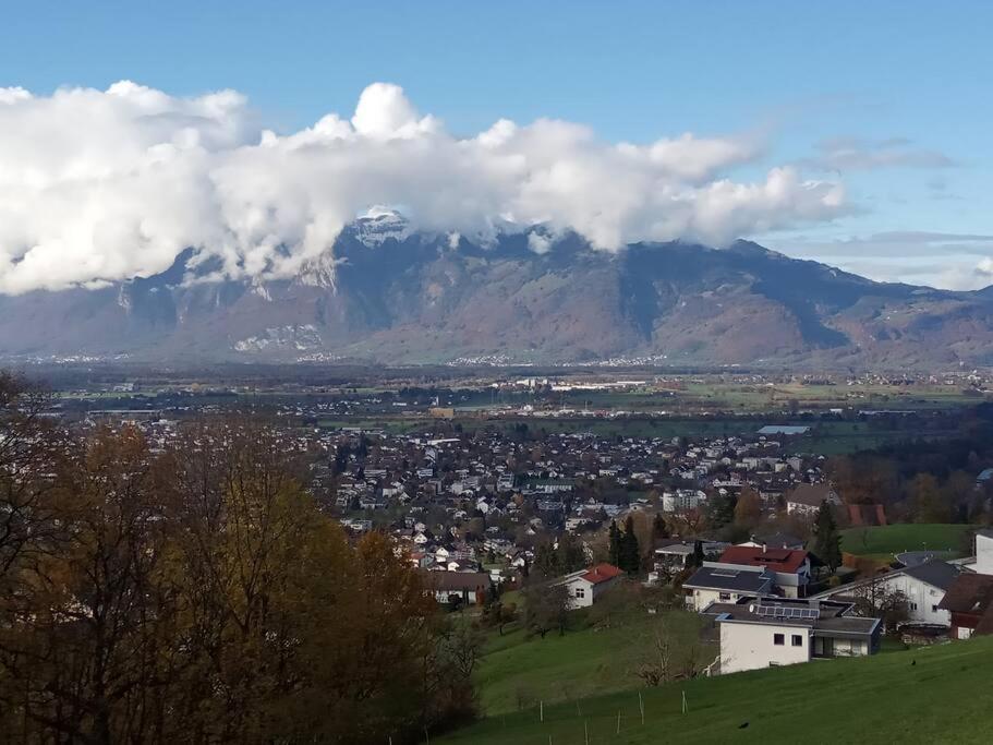 Wohnung Rheintal Im Alpenvorland Batschuns Exteriér fotografie