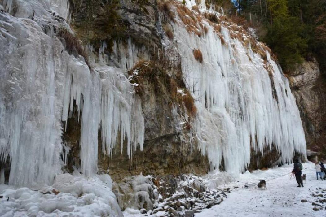 Wohnung Rheintal Im Alpenvorland Batschuns Exteriér fotografie