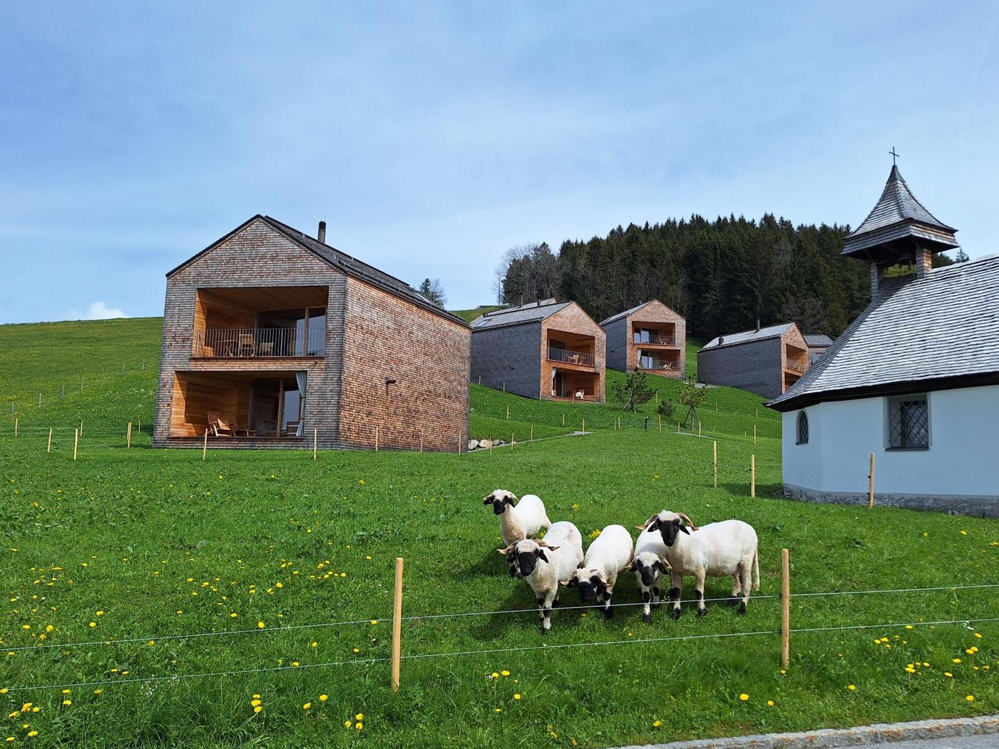 Wohnung Rheintal Im Alpenvorland Batschuns Exteriér fotografie