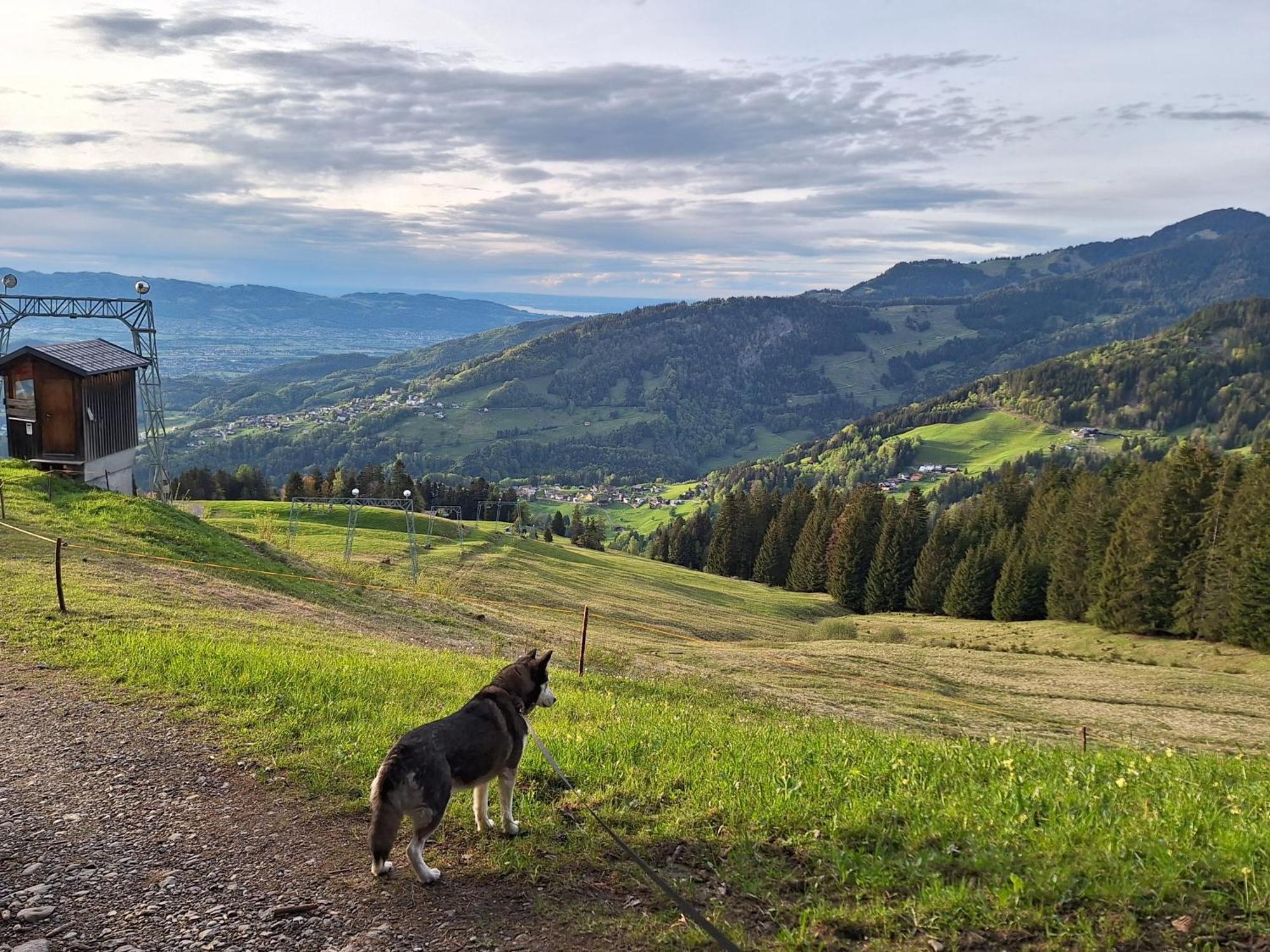 Wohnung Rheintal Im Alpenvorland Batschuns Exteriér fotografie